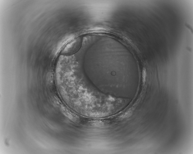 X0000103951405200810031335