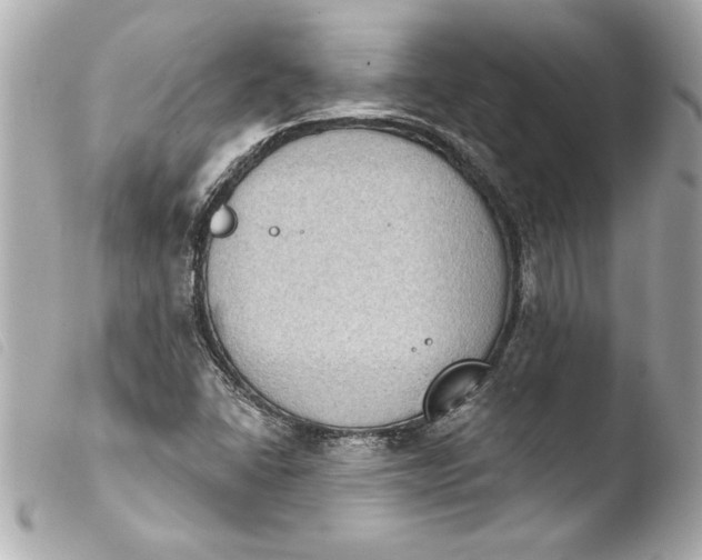 X0000103951406200810031335