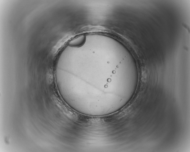 X0000103951407200810031335