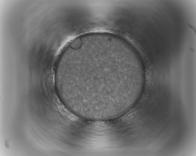 X0000103951408200810031335