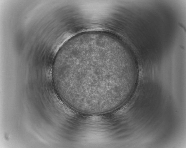 X0000103951409200810031335