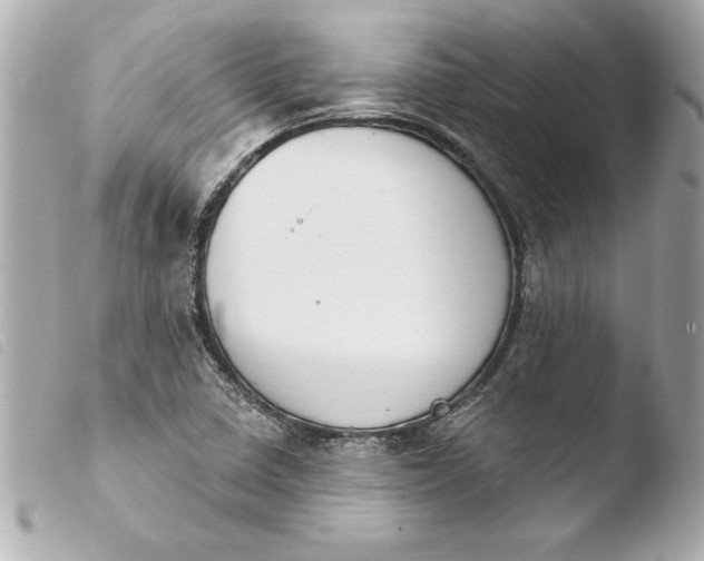 X0000103951410200810031335