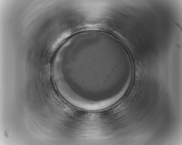 X0000103951411200810031335