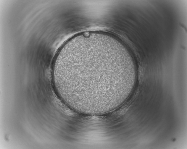 X0000103951412200810031335