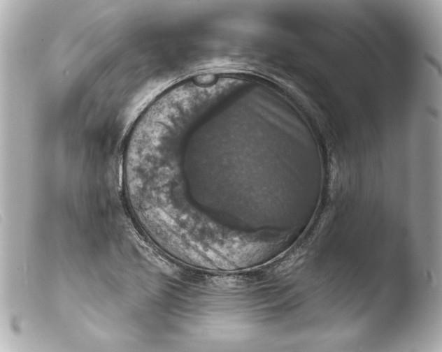 X0000103951413200810031335