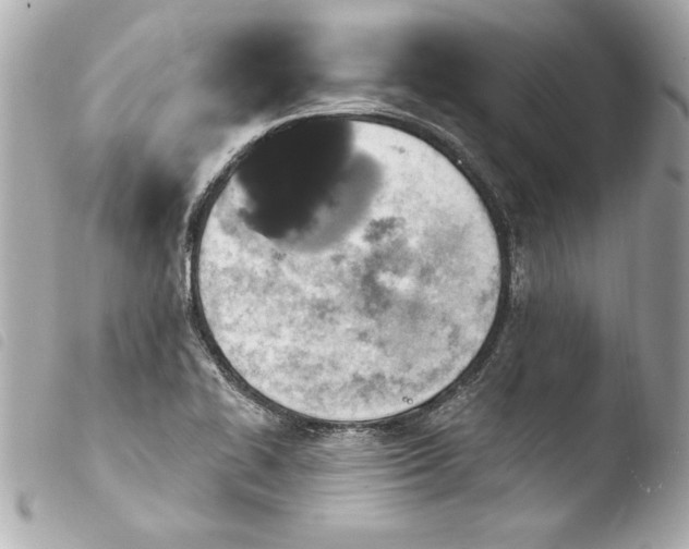 X0000103951414200810031335