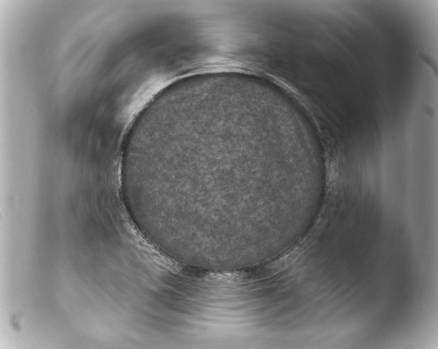 X0000103951415200810031335