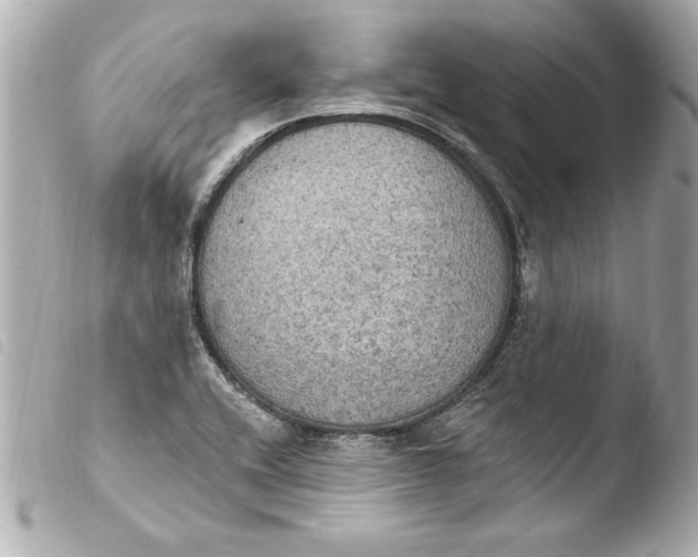 X0000103951416200810031335