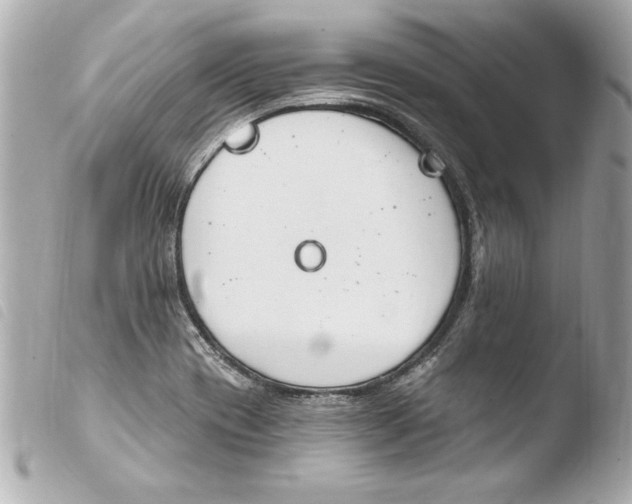 X0000103951417200810031335