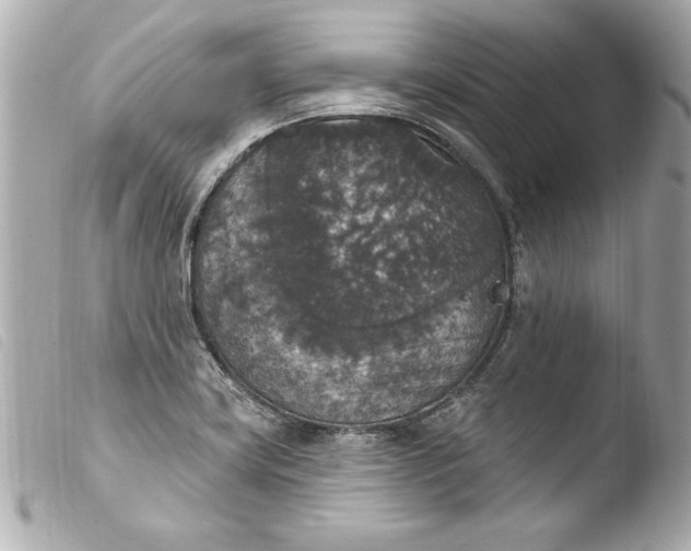 X0000103951419200810031335