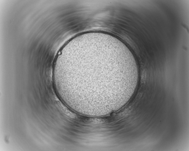 X0000103951420200810031335