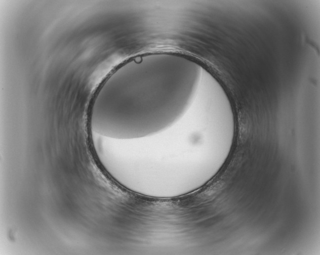 X0000103951422200810031335