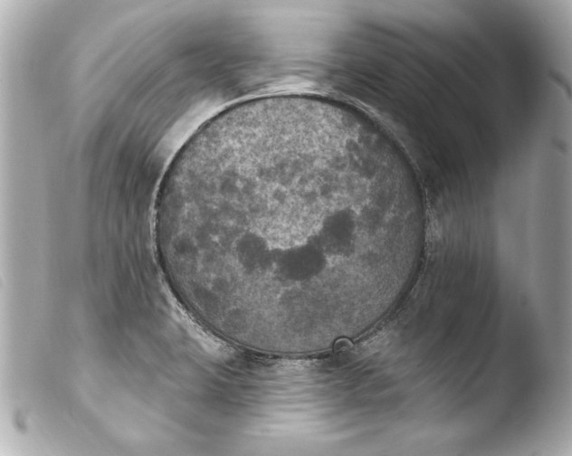 X0000103951423200810031335