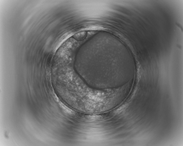 X0000103951425200810031335