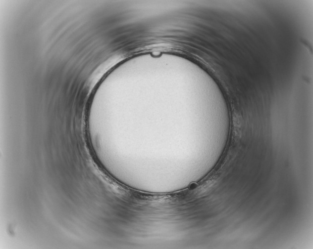 X0000103951426200810031335