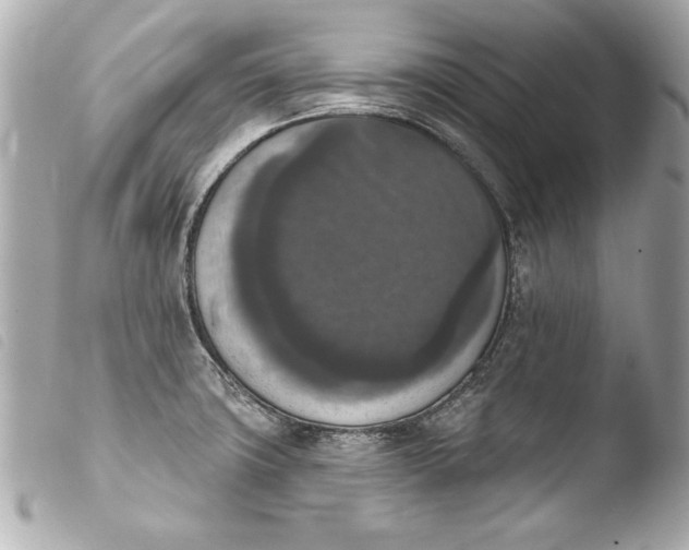 X0000103951427200810031335