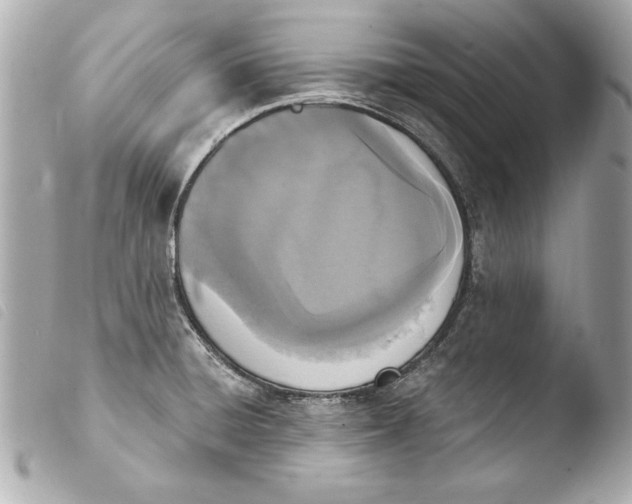 X0000103951428200810031335