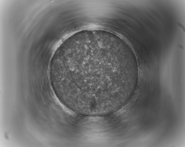 X0000103951429200810031335