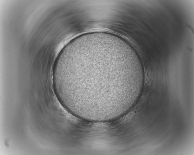 X0000103951430200810031335