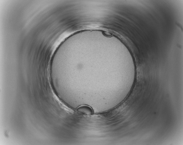 X0000103951432200810031335