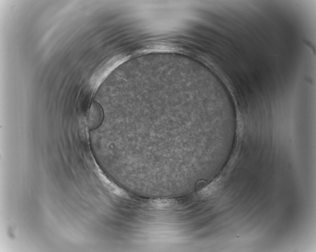 X0000103951433200810031335