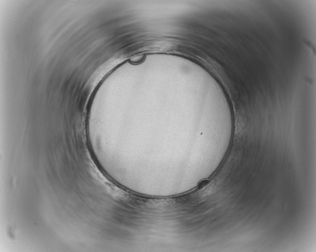 X0000103951434200810031335