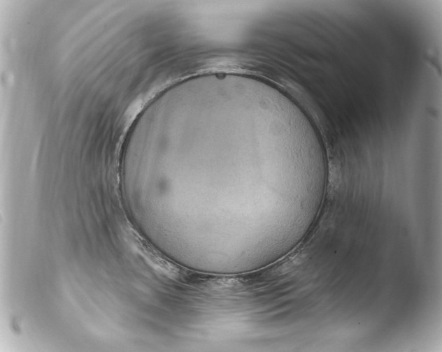 X0000103951435200810031335