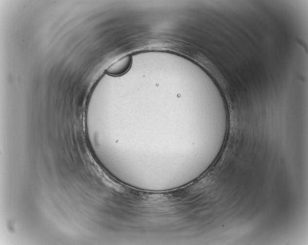 X0000103951436200810031335