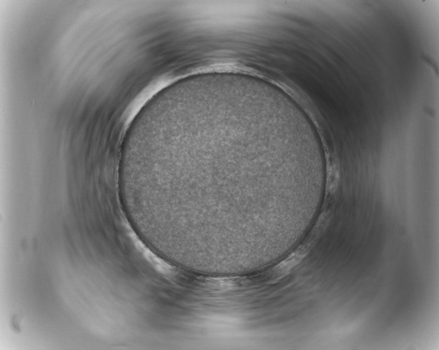 X0000103951438200810031335