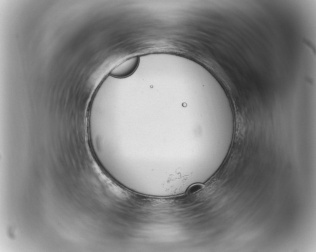 X0000103951439200810031335