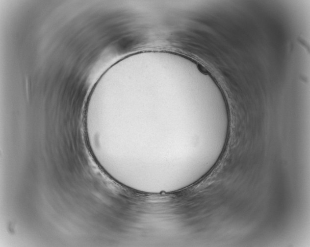 X0000103951440200810031335