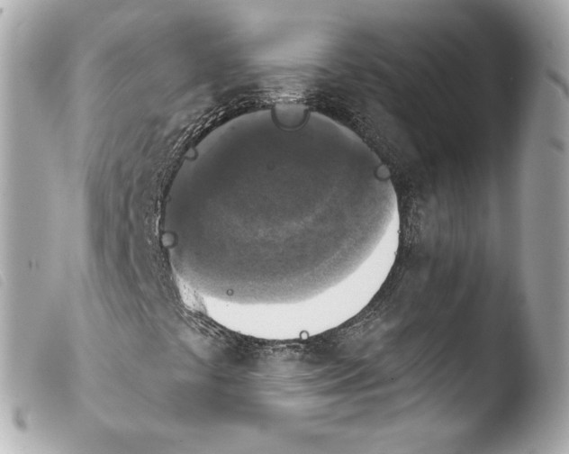 X0000103951441200810031334