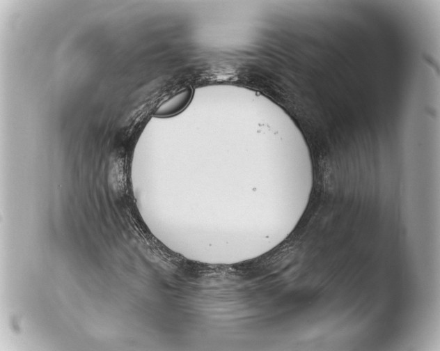 X0000103951442200810031334