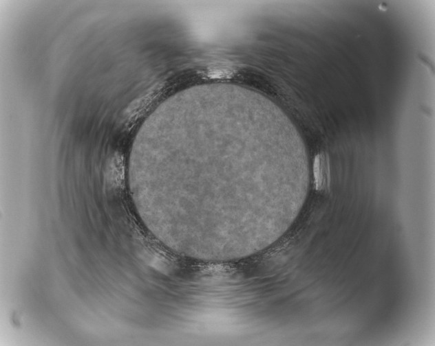 X0000103951443200810031334