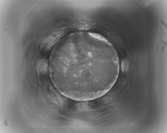 X0000103951444200810031334