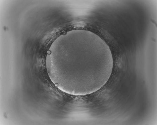 X0000103951445200810031334