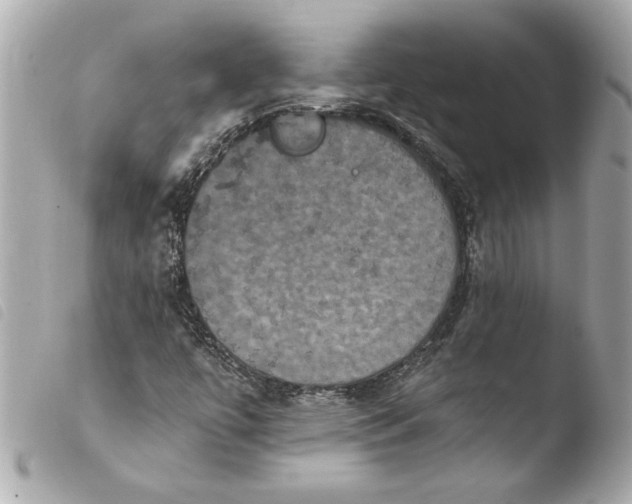 X0000103951447200810031334