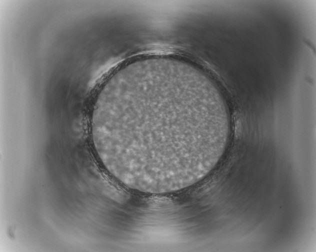 X0000103951448200810031334