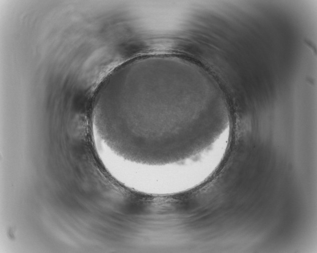 X0000103951449200810031334