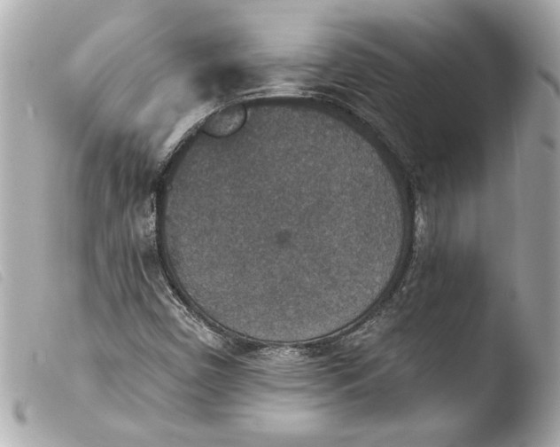 X0000103951450200810031334