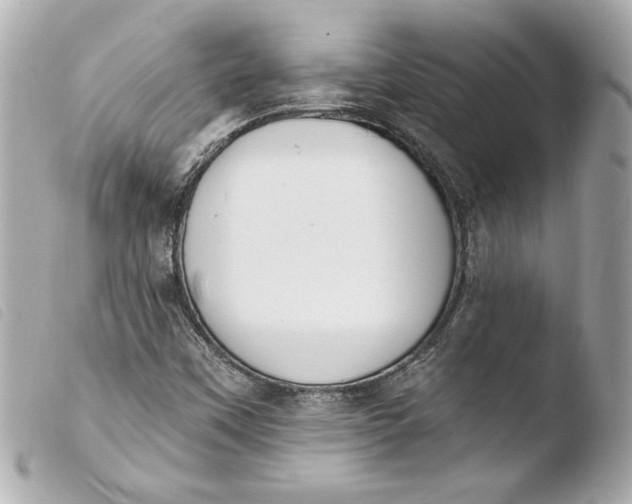 X0000103951451200810031334