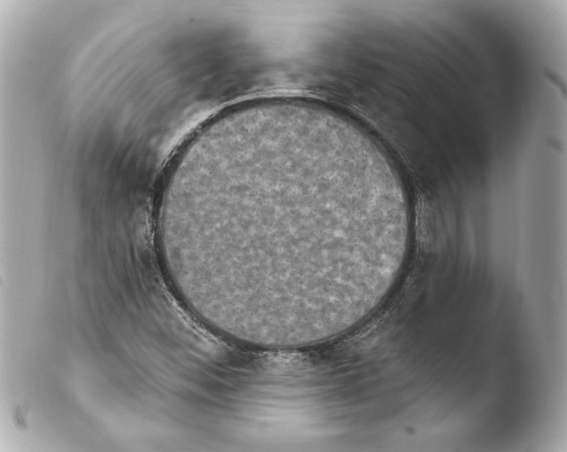 X0000103951452200810031334