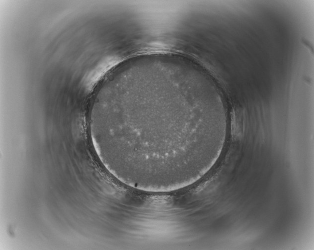 X0000103951453200810031334