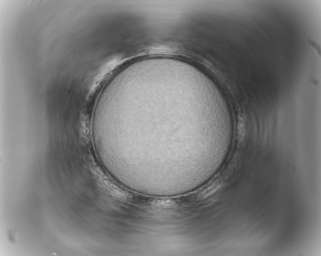 X0000103951454200810031334