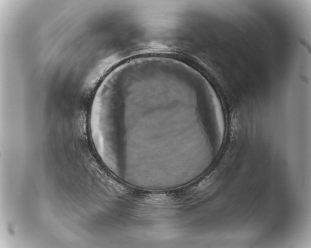 X0000103951455200810031334