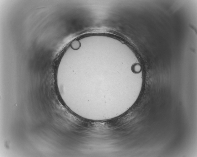 X0000103951456200810031334