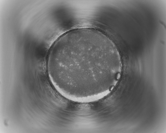 X0000103951457200810031334