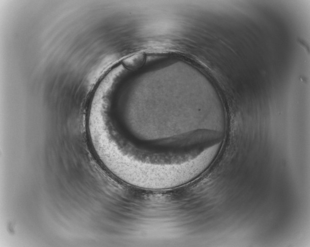 X0000103951459200810031334