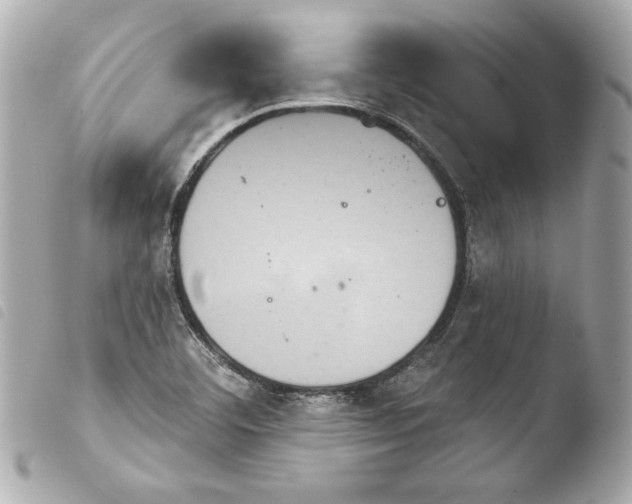 X0000103951460200810031334