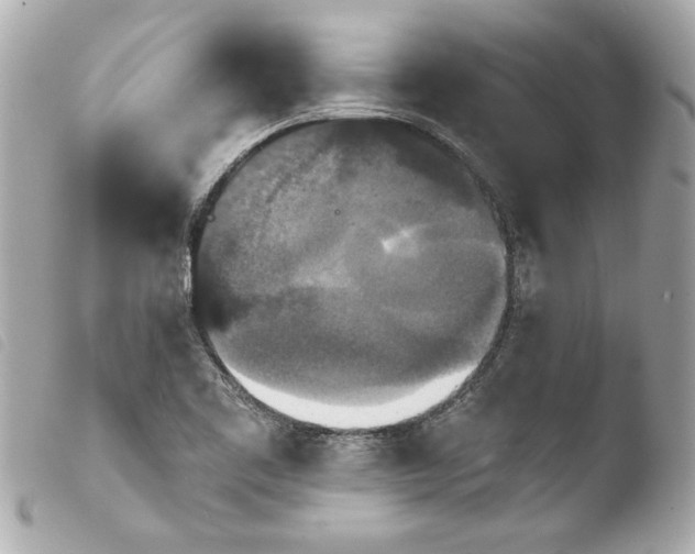 X0000103951461200810031334